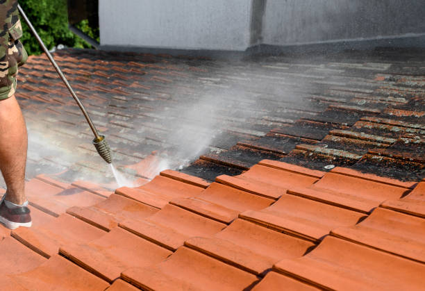 Best Affordable Power Washing  in Wallis, TX