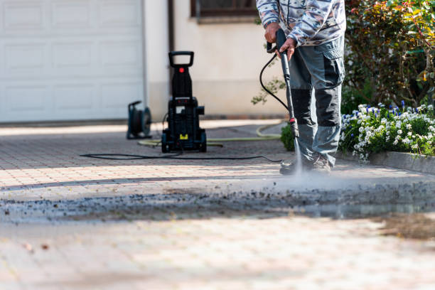 Best Roof Pressure Washing  in Wallis, TX