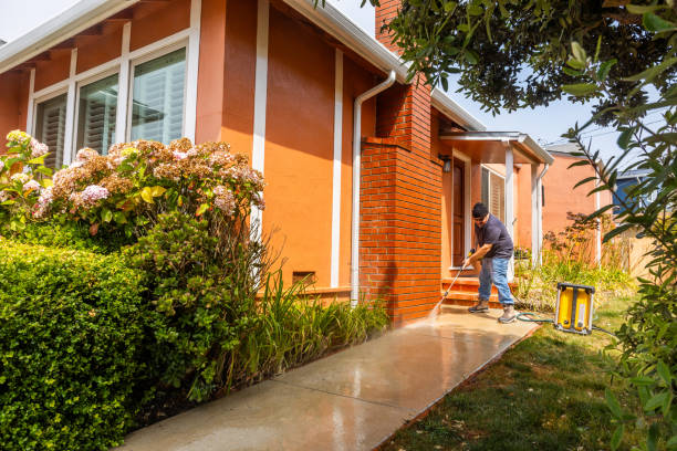 Best Deck Cleaning Services  in Wallis, TX