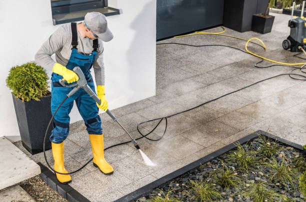 Best Exterior Home Cleaning  in Wallis, TX
