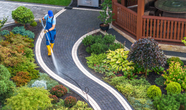 Best Pressure Washing Near Me  in Wallis, TX